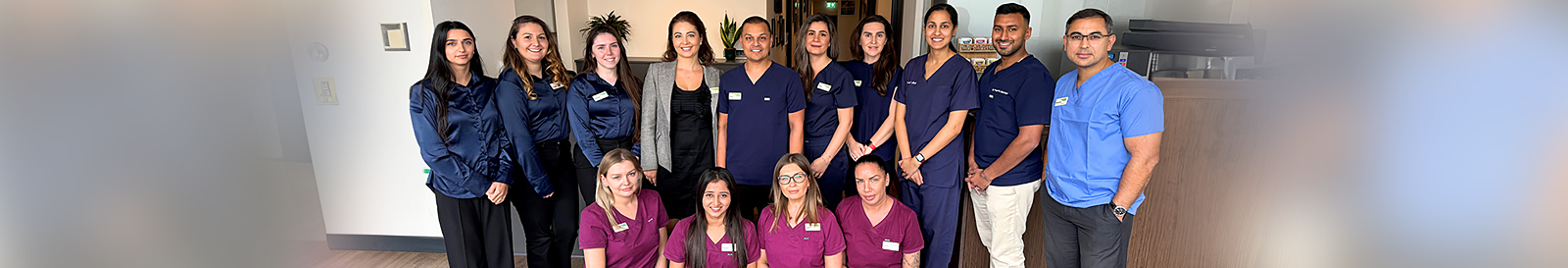 Dr Shahrokh Ali Navaee